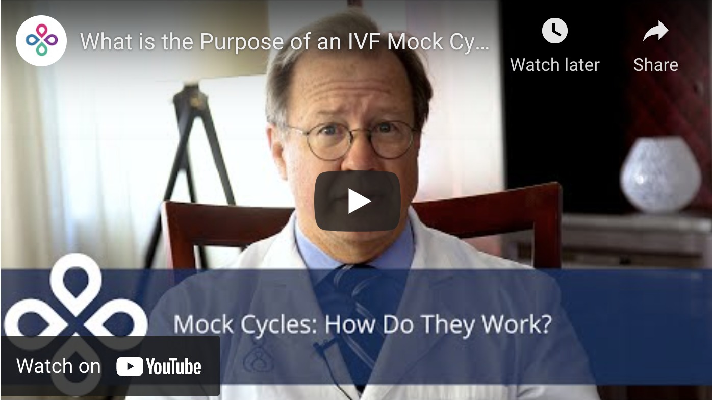 the-purpose-of-a-mock-cycle-during-ivf