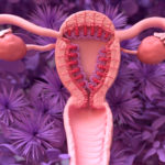 What Makes a Good Endometrium?